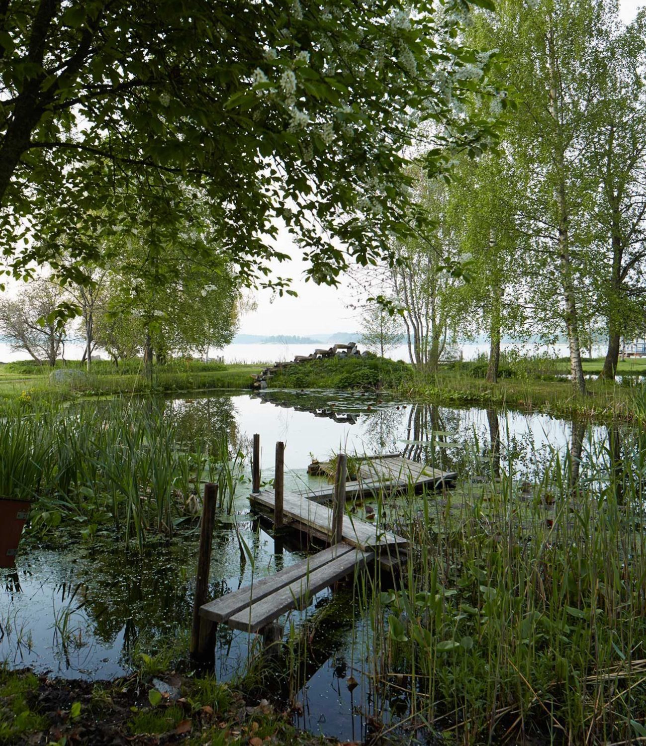nature